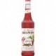 Monin Spicy 70cl