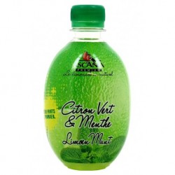 Ascania Limonade Citron Vert Menthe 33cl (pack de 24)