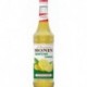 Monin Concentré Rantcho Citron 70cl (lot de 2)