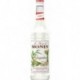 Monin Gingembre 70cl (lot de 2)