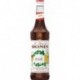 Monin Irish 70cl (lot de 3)