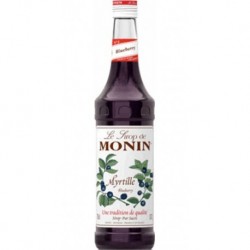 Monin Myrtille 70cl (lot de 2)