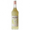 Monin Anis 1L (lot de 2)