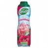 Teisseire Sirop Framboise 60cl (lot de 5)