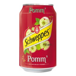 Schweppes Pomme 33cl (pack de 24)
