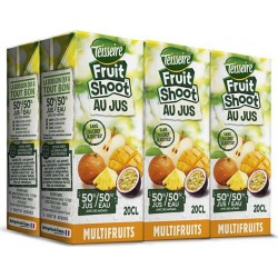 Fruit Shoot Boisson au jus multifruits 6 x 20 cl