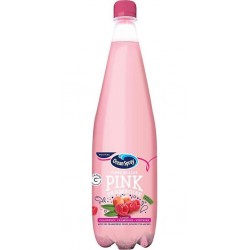 Ocean Spray Boisson gazeuse fines bulles cranberry framboise 1 L