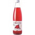 Bionina Uncle Pomegranate and the Cranberries 33cl (pack de 24)