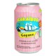 Caraïbos Goyave 33cl (pack de 24)