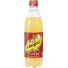 Schweppes Pomm 50cl (pack de 24)