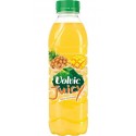 Volvic Juicy Exotique 50cl (pack de 24)