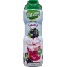 Teisseire Cassis 60cl
