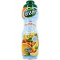 Teisseire Sirop Multifruits 75cl