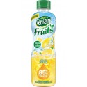 Teisseire Fraicheur De Fruits Citron 60cl (lot de 2)