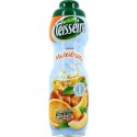 Teisseire Sirop Multifruits 75cl (lot de 2)