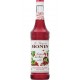 Monin Fraises des Bois 70cl (lot de 2)