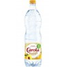 Carola ARO MIRA PET