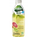 Volvic infusion Mate Citron Vert Pamplemousse BIO 75cl