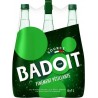 Badoit Eau minérale gazeuse VERTE 1L (pack de 6)