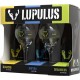 COFFRET LUPULUS 3*33