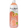 MOGU MOGU MELON 1L (lot de 9)