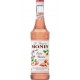 Monin Pêches Blanches 70cl (lot de 5)