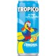 TROPICO l'Original 6 x 33cl (lot de 4 packs de 6 soit 24 canettes)