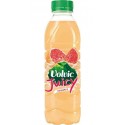 Volvic Juicy Agrumes Agrumade 50cl (pack de 24)