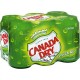 Canada Dry Ginger Ale 33cl x6 (pack de 6)