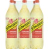 Schweppes Agrum 1,5L (pack de 6)