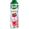 Teisseire Sirop de Grenadine 60cl (lot de 6 bouteilles)
