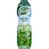 Teisseire Sirop Menthe Verte 75cl (lot de 2)