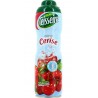 Teisseire Sirop Cerise 60cl (lot de 5)