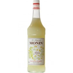 Monin Anis 1L (lot de 2 bouteilles)