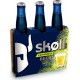 Bière Skoll Caïpiroska Vodka Et Citron Vert 33cl (pack de 3)