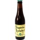 TRAPPISTES Rochefort 8° 33cl