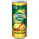 Perrier  Juice Ananas & Mangue 25cl (pack de 4)