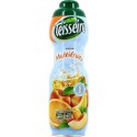 Teisseire Sirop Multifruits 75cl