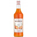 Monin Orange 1L