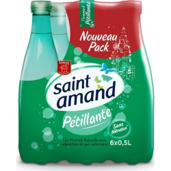 SAINT AMAND Eau gazeuse minérale naturelle (pack de 6 bouteilles de 50cl)