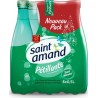 SAINT AMAND Eau gazeuse minérale naturelle (pack de 6 bouteilles de 50cl)