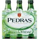 PEDRAS SALGADAS Eau minérale (pack de 6 bouteilles de 25cl)