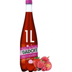 BADOIT Eau Gazeuse Aromatisée Fruits Rouges 1L