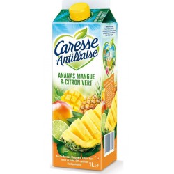 CARESSE ANTILLAISE Jus De Fruits Ananas Mangue Citron Vert la brique de 1L