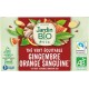 JARDIN BIO Thé vert au gingembre saveur orange sanguine Bio ETIC (la boîte de 20 sachets)