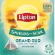 LIPTON Infusion Saveur du soir Grand sud menthe et réglisse (la boite de 20 sachets)