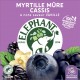 ELEPHANT Infusion myrtille vanille (la boite de 20 sachets)