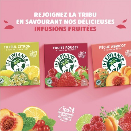 ELEPHANT Infusion pomme cannelle (la boite de 20 sachets)