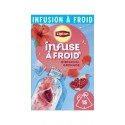 LIPTON Infusion à froid grenade hibiscus (la boite de 15 sachets)