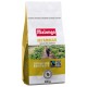 MALONGO Café en grains pur arabica 500g